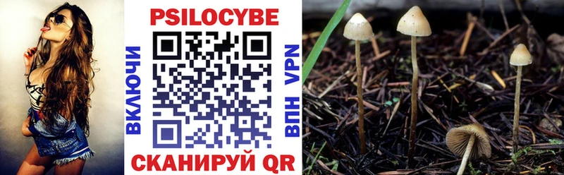 Галлюциногенные грибы Magic Shrooms  Орлов 
